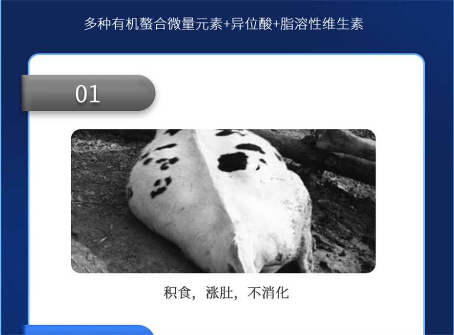 8ΨһٷվţӼţ׳챦Ʒ