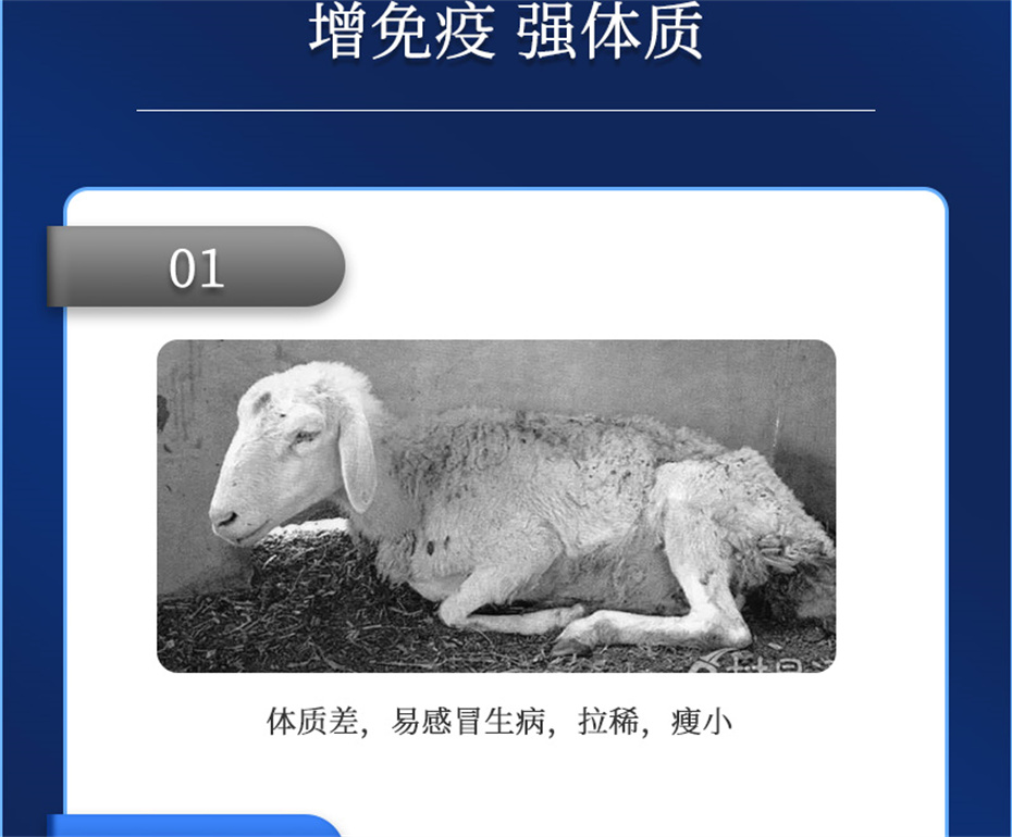 8ΨһٷվţӼţ׳챦Ʒ