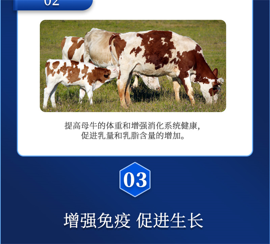 8ΨһٷվţӼѪţƷ