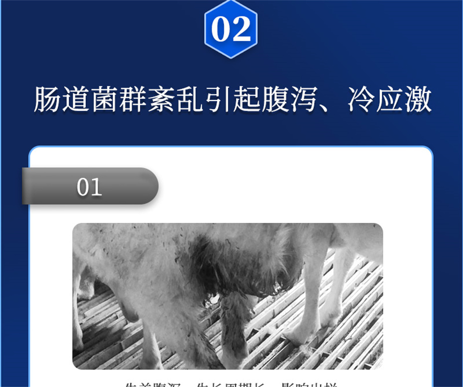 8ΨһٷվţӼθƷ