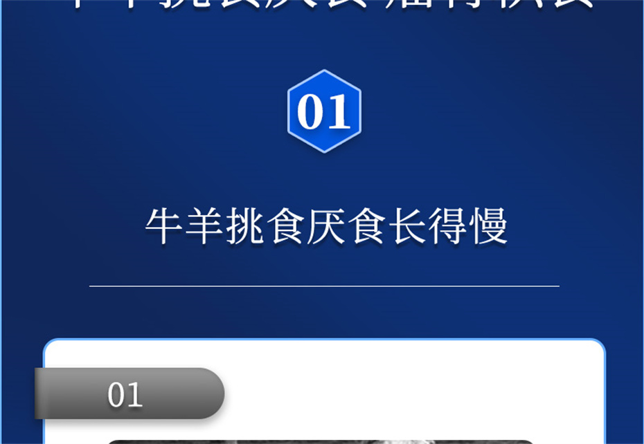 8ΨһٷվţӼţ׳챦Ʒ