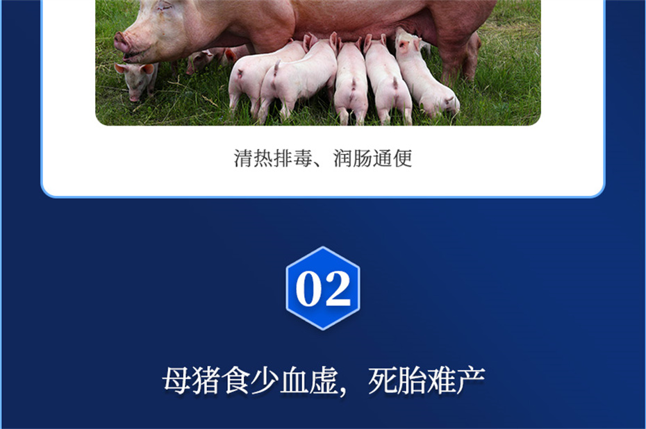 8ΨһٷվӼĸͨƷ
