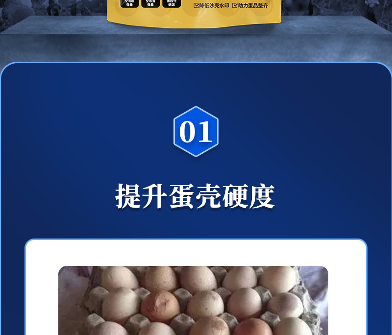 ǿʦҳ_02