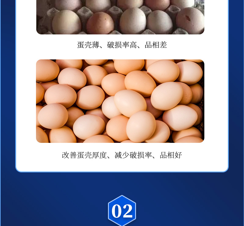 ǿʦҳ_03