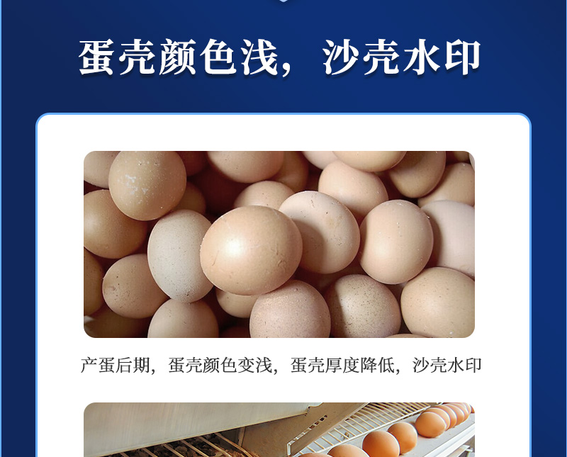 ǿʦҳ_04