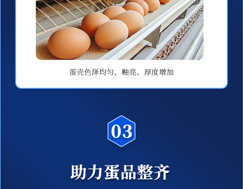 ǿʦҳ_05