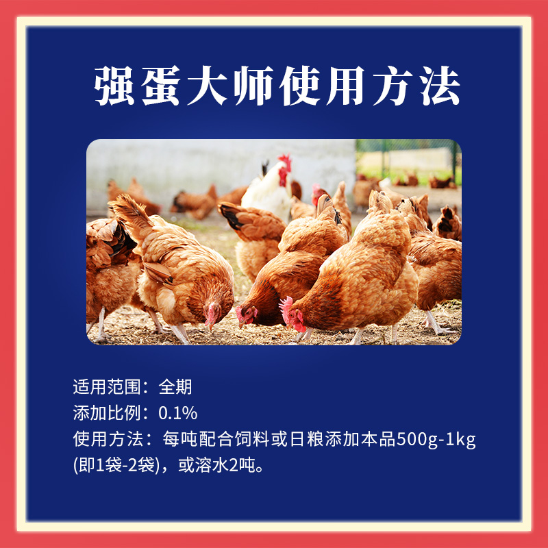 ǿʦ