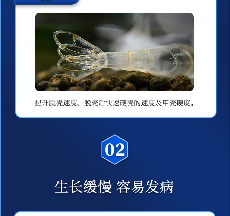 ѱ_04