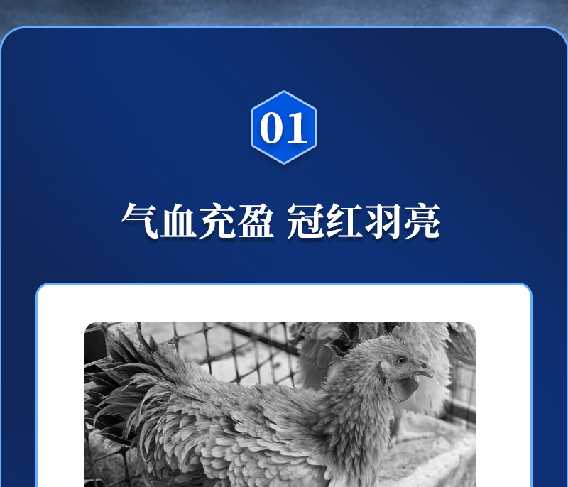 8ΨһٷվӼɫƷ
