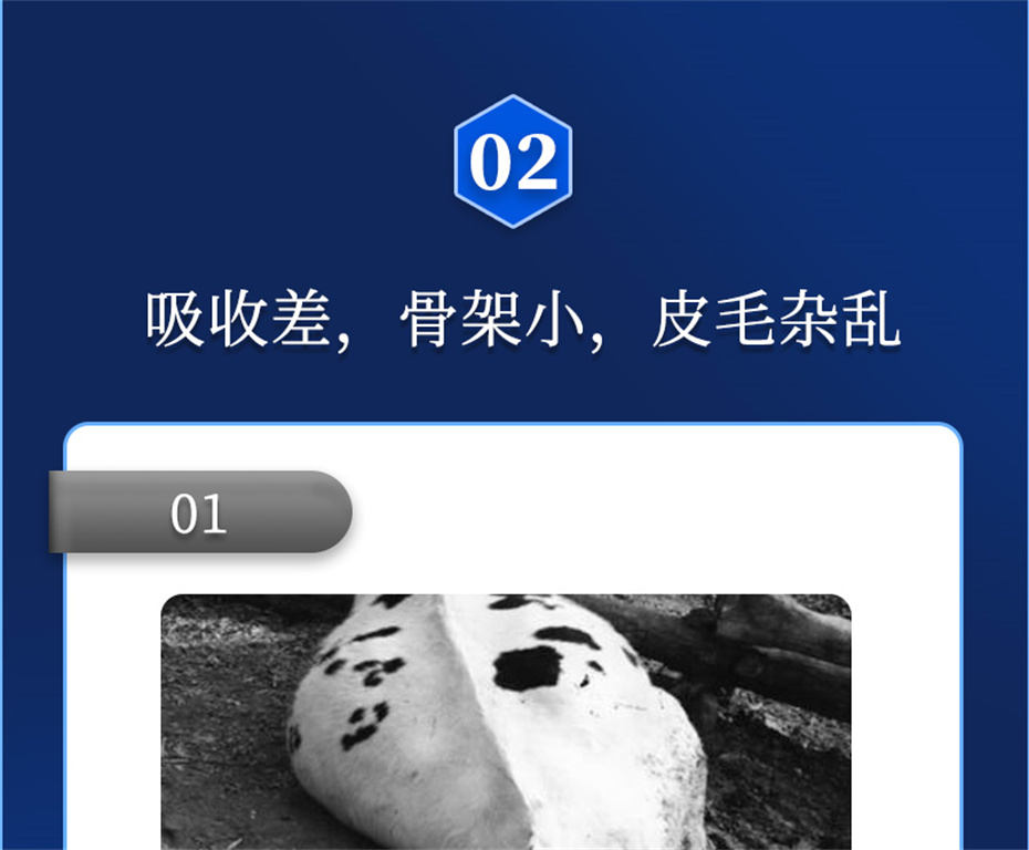 8ΨһٷվţӼţԪ˧Ʒ
