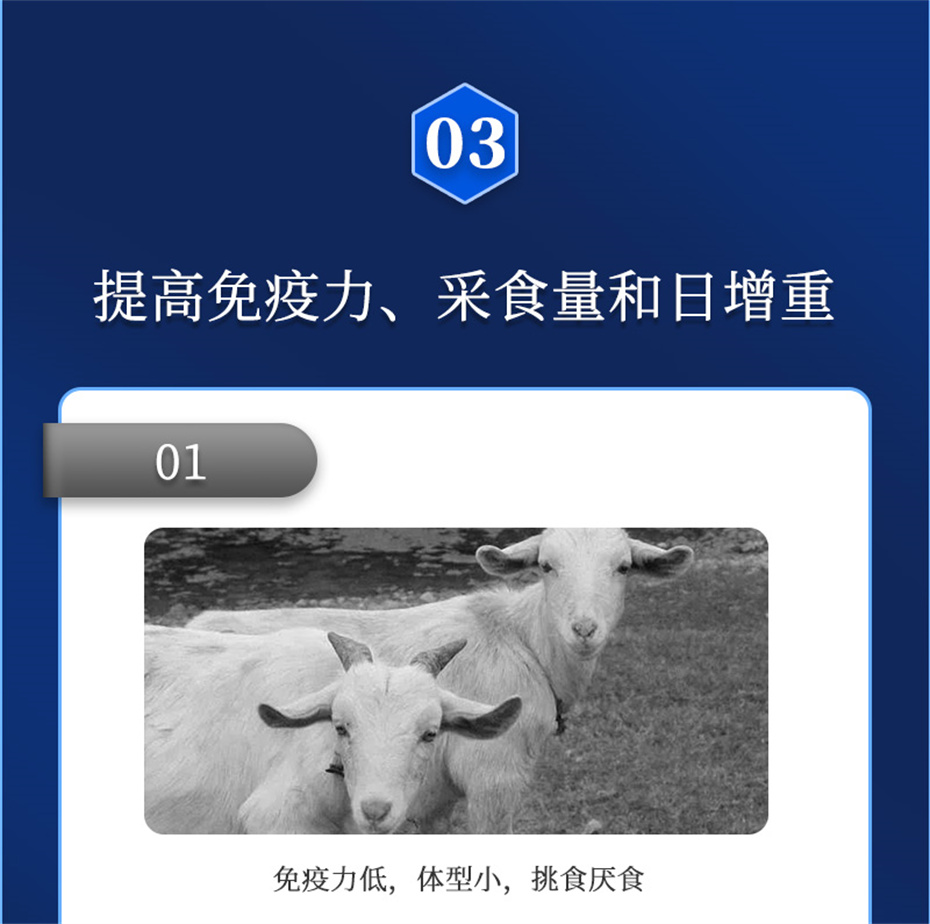 8ΨһٷվţӼţԪ˧Ʒ