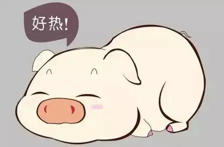 ԤӦ