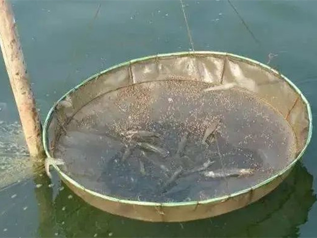 Ϻɿ