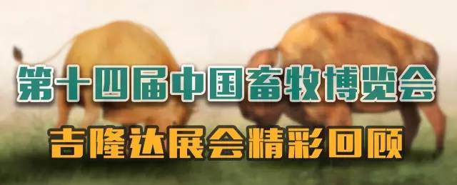 8Ψһٷվչй