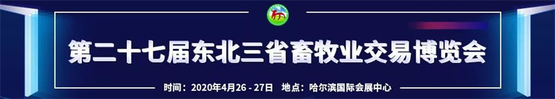 2020ҵչ