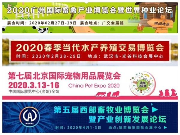 2020ҵչ