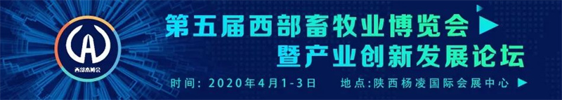 2020ҵչ