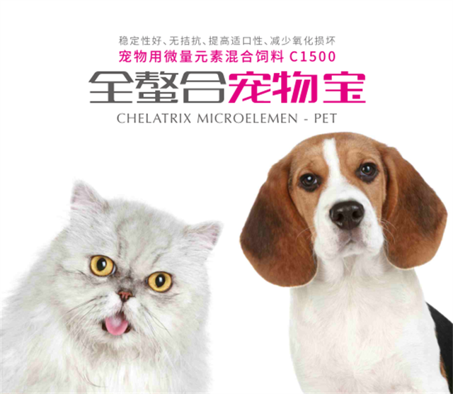 ȫϳﱦ