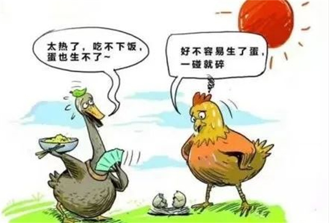 Ӧ