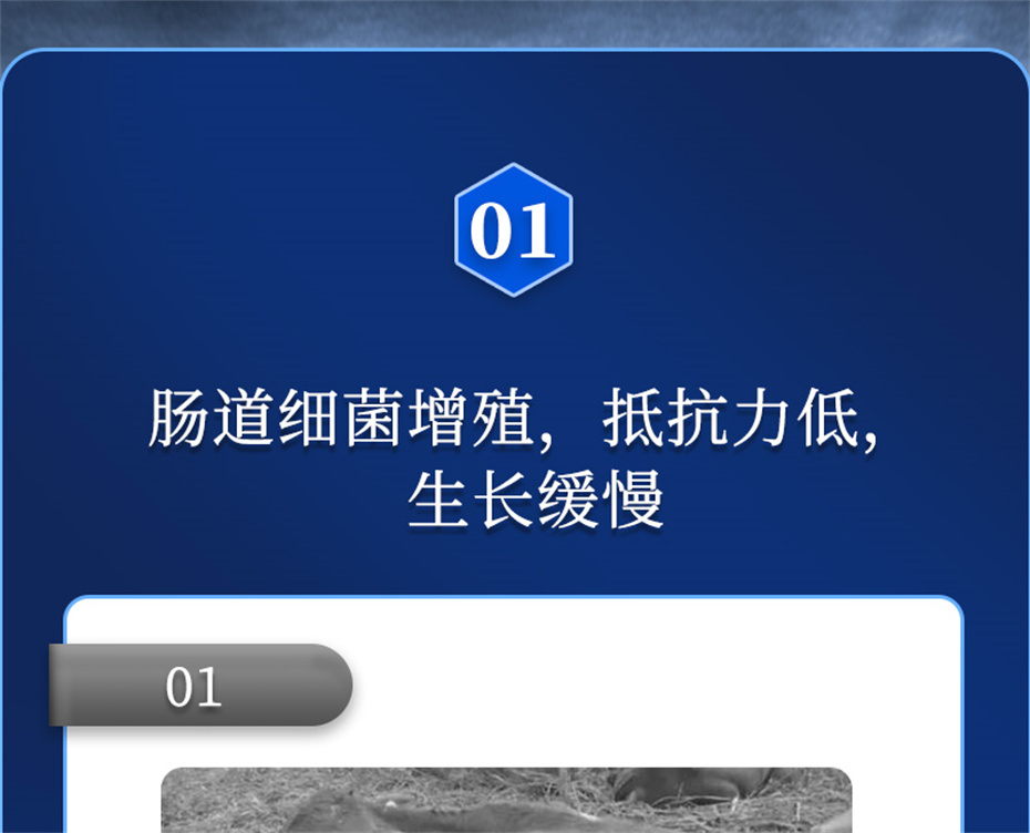 8ΨһٷվӼŶĲƷ