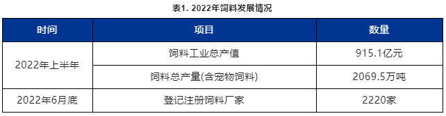 2022Ϸչ