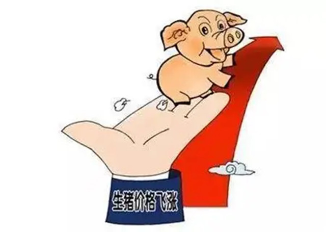 ׬Ǯ