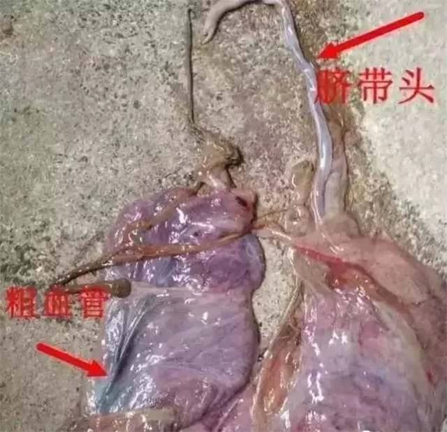 жĸǷ1ͷ
